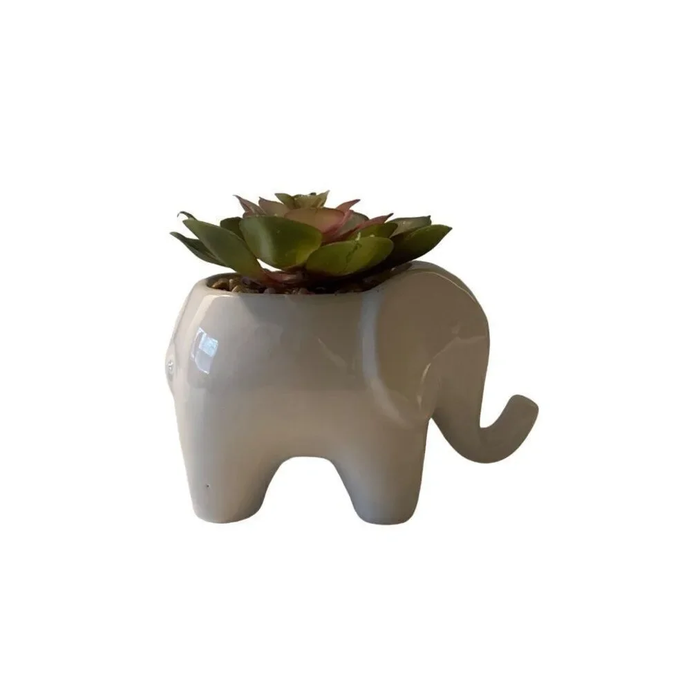 White Elephant Succulent Arrangement Home Decor